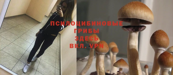 шишки Алзамай
