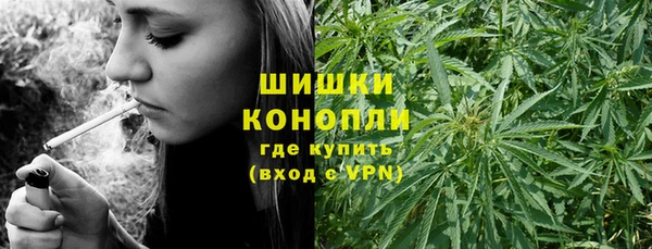 стафф Ростов