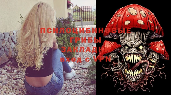 ГАЛЛЮЦИНОГЕННЫЕ ГРИБЫ Россошь