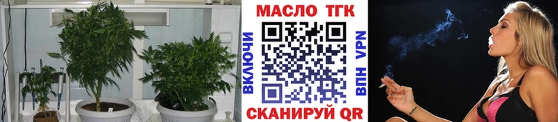 площадка Telegram Жердевка Дистиллят ТГК концентрат закладка