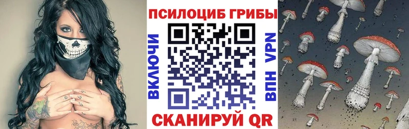 цена наркотик  Жердевка  Галлюциногенные грибы мухоморы 